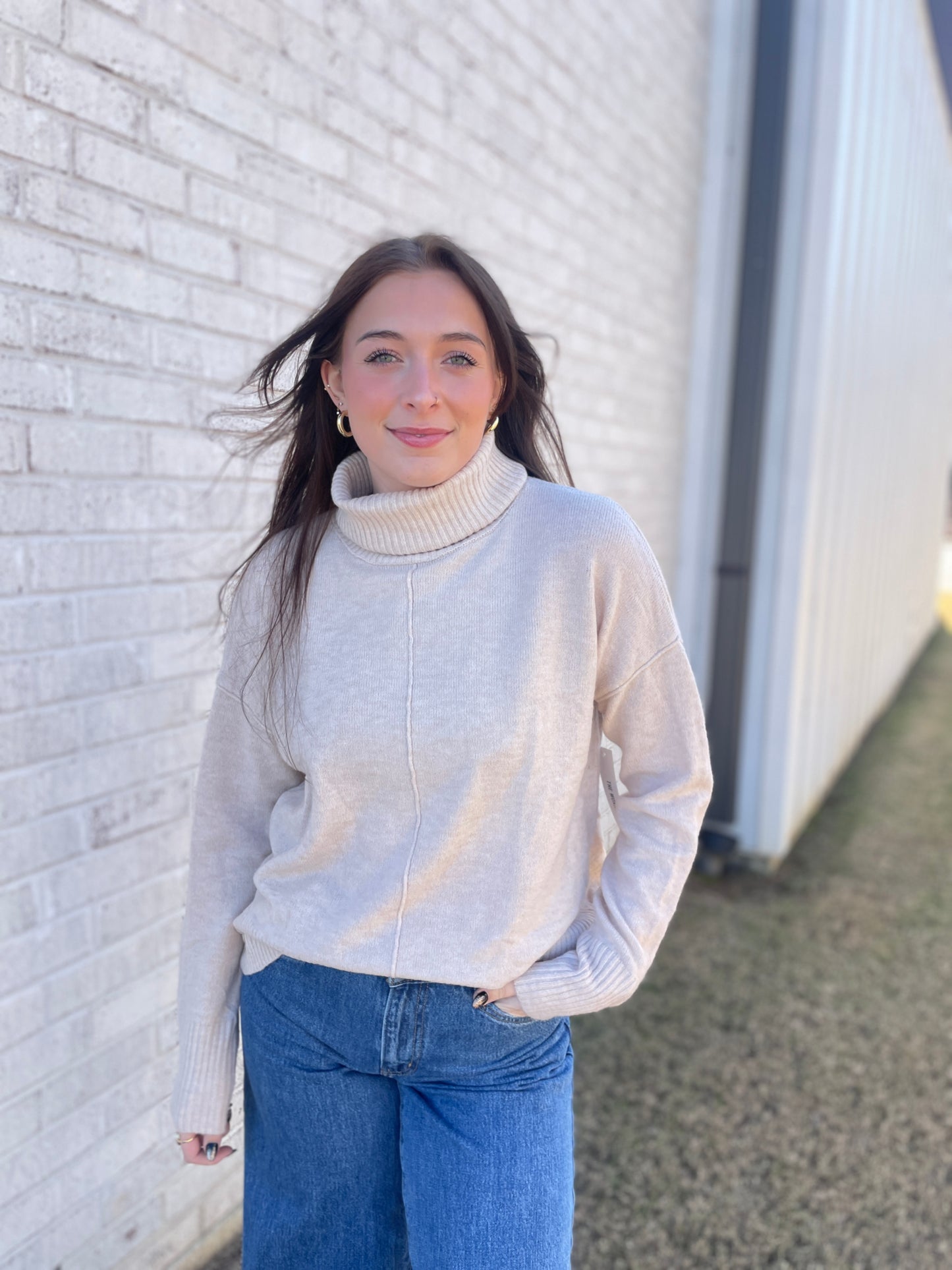 Louie Turtle Neck Soft Sweater