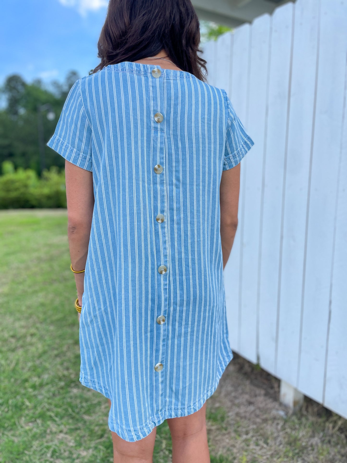 Brewer Stripped Denim Dress