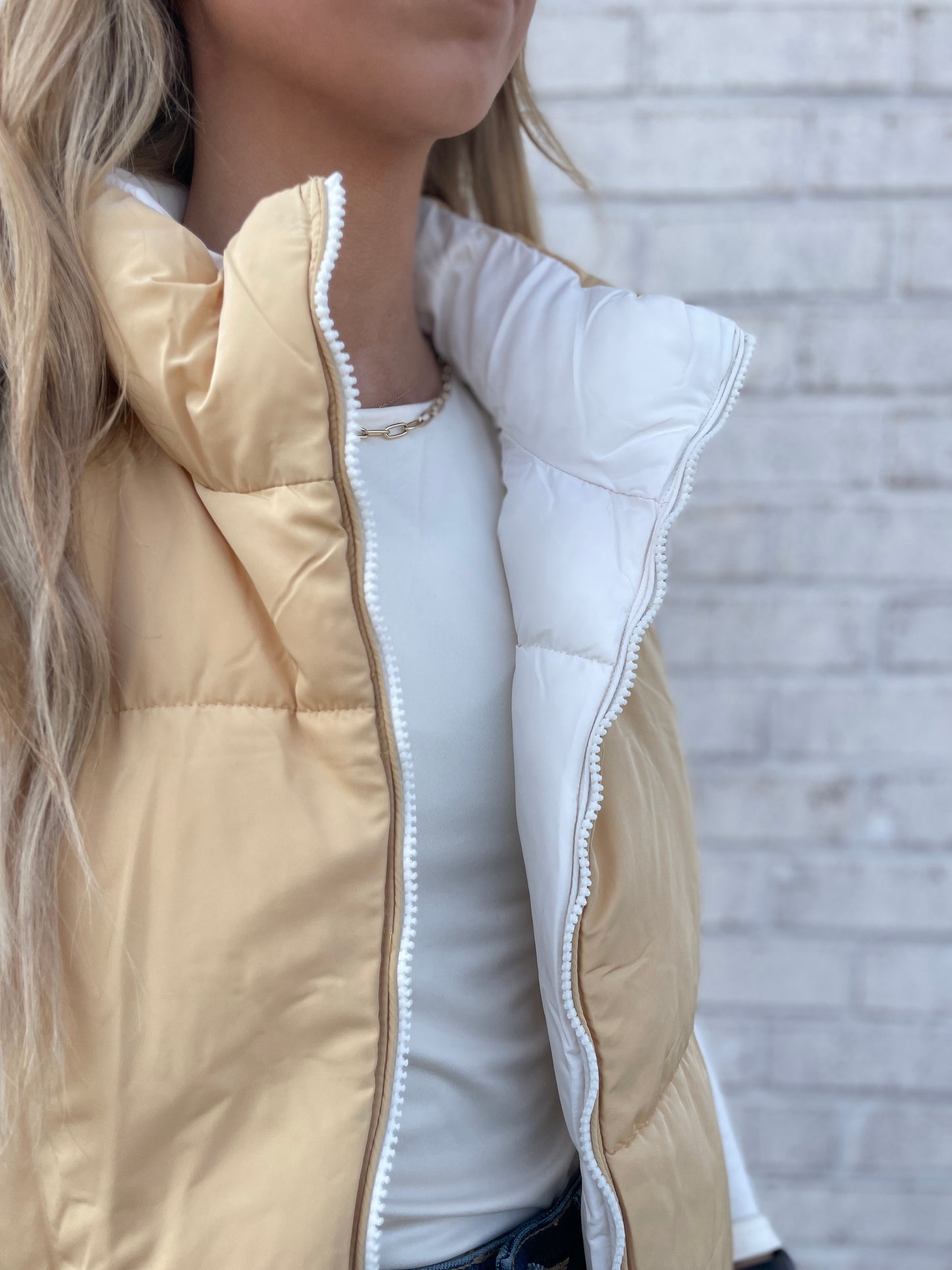 Reversible Puffer Vest