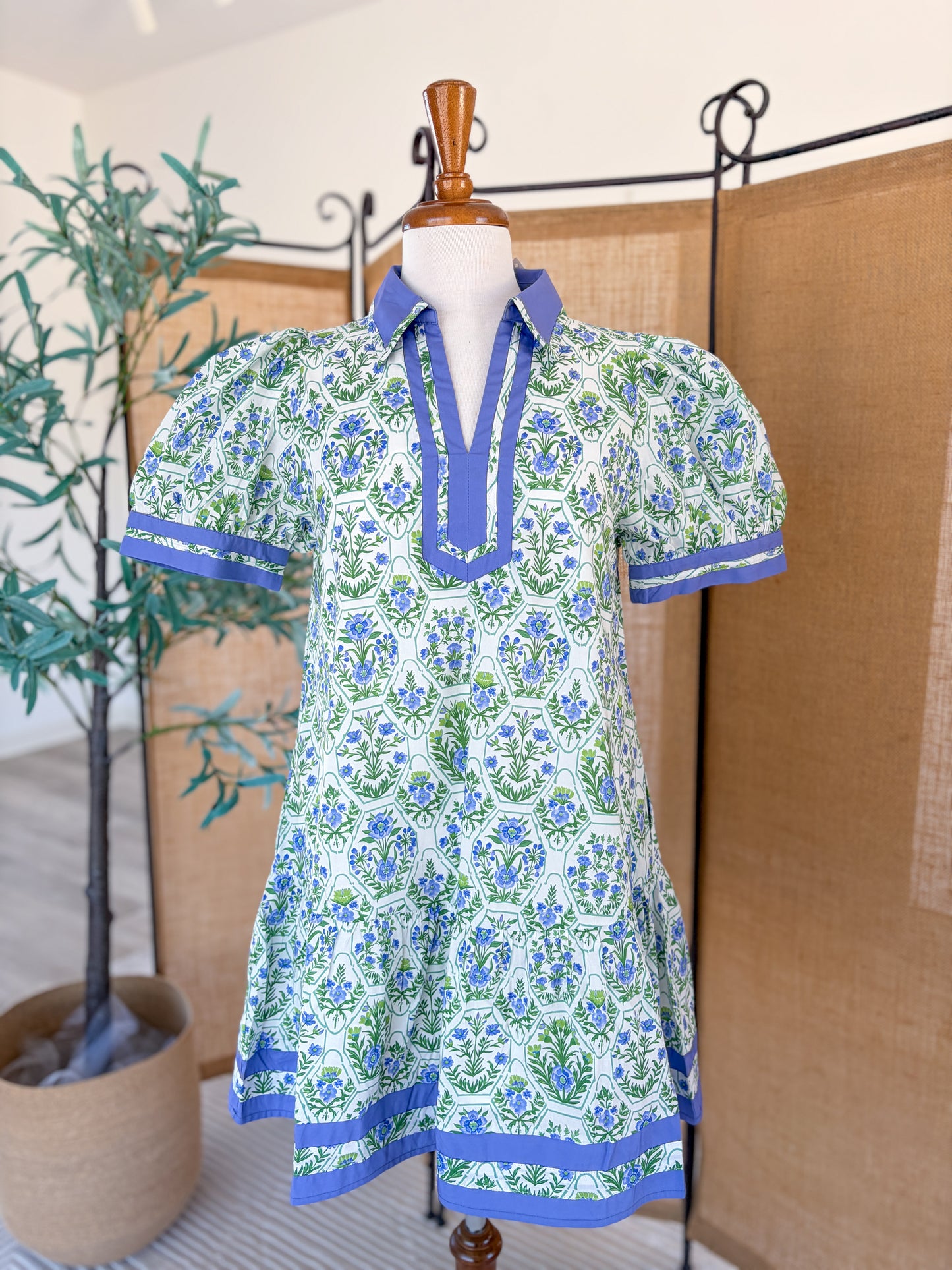 Printed V-Neck Mini Dress