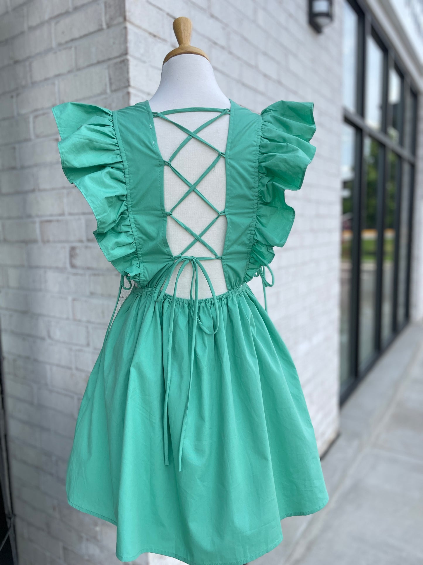 Ruffle Sleeve Dress