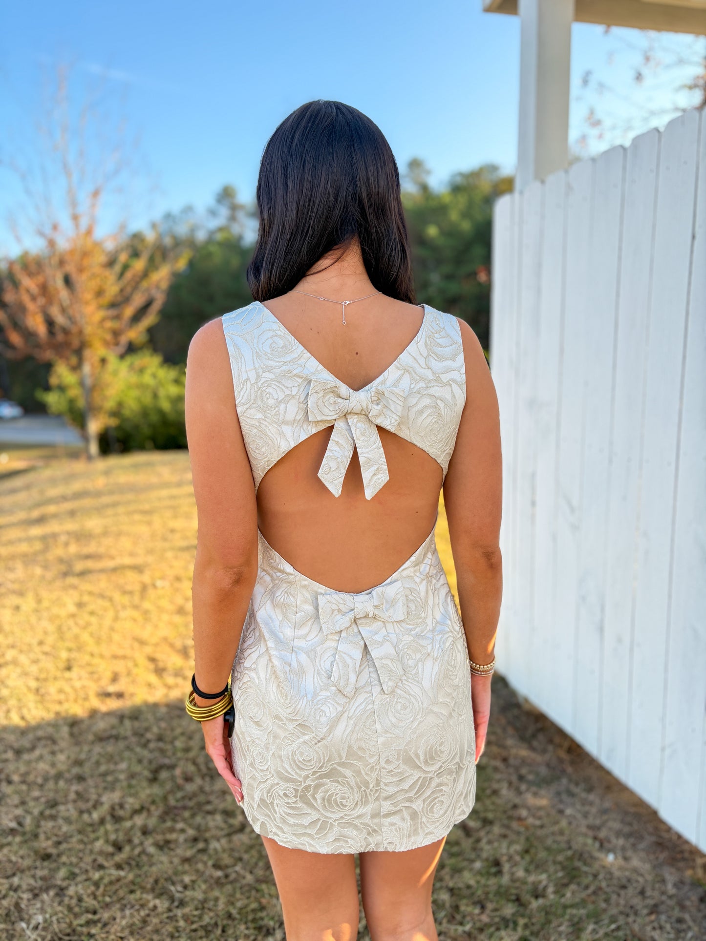 Bow Back Mini Dress