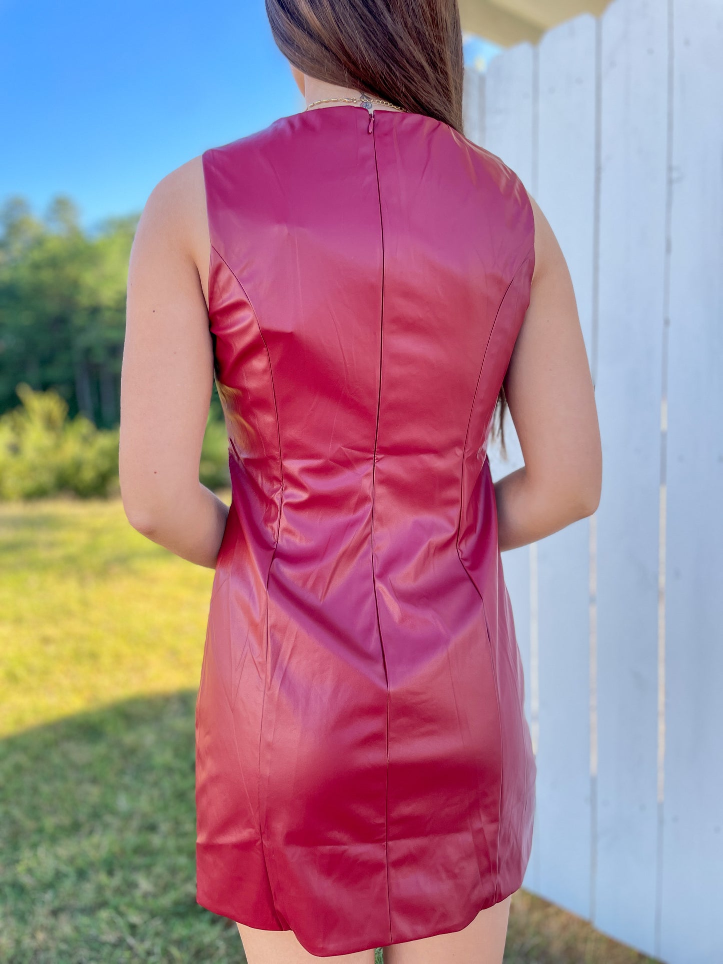 Sherry Faux Leather Dress