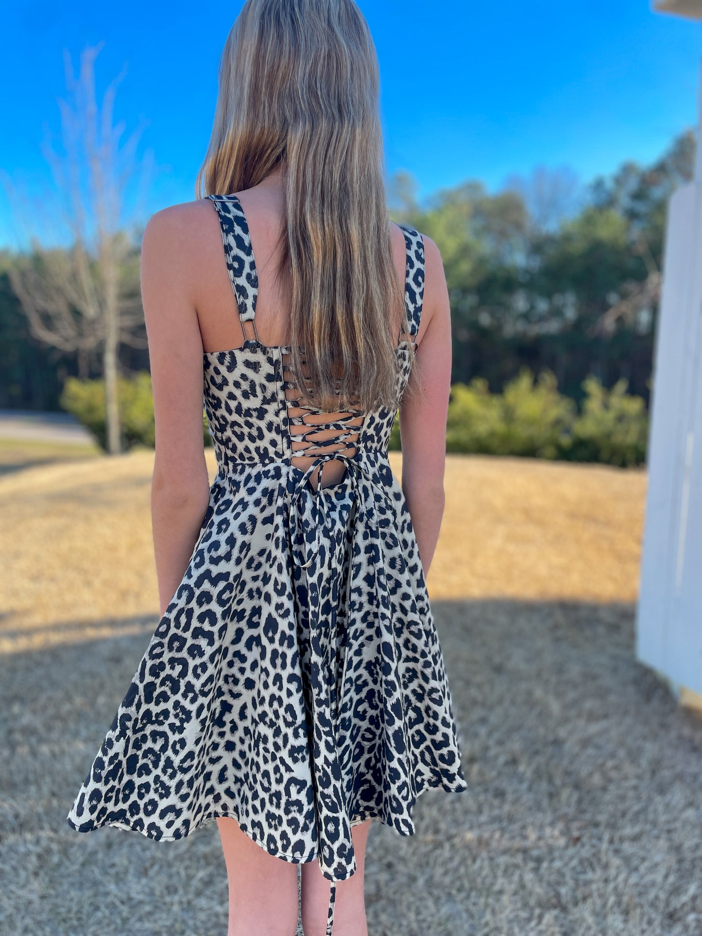 Rianna Corset Leopard Dress