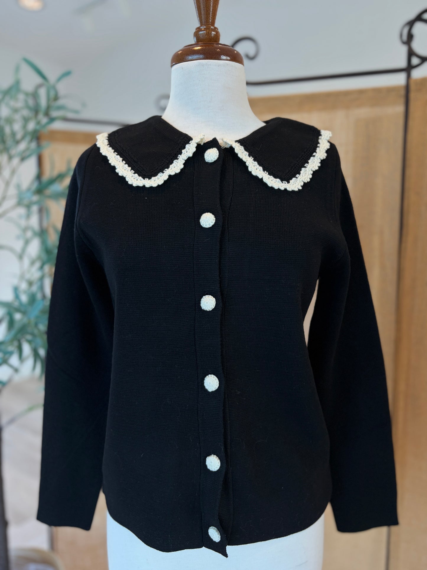 Peter Pan Collared Button Up Top