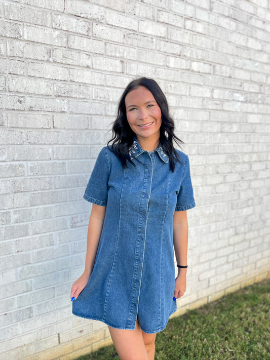 Embroidered Denim Mini Dress