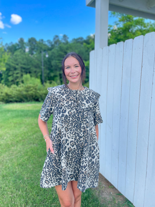 Leopard Collared Dress
