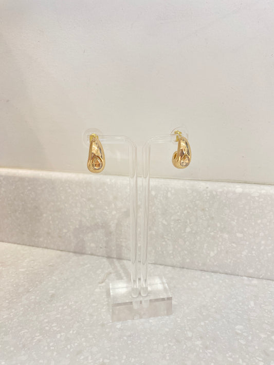 Gold Jewel Earrings