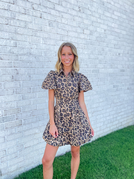 Blaise Cheetah Zip-Up Mini Dress