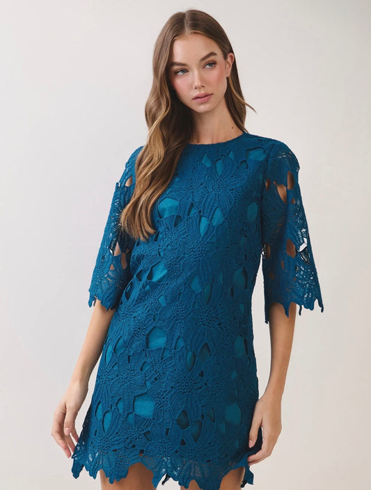 Eyelet Quarter Sleeve Mini Dress