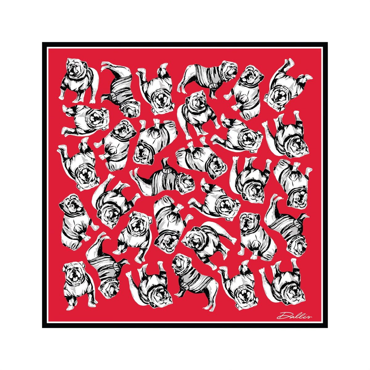 Georgia Bulldog Silk Scarf