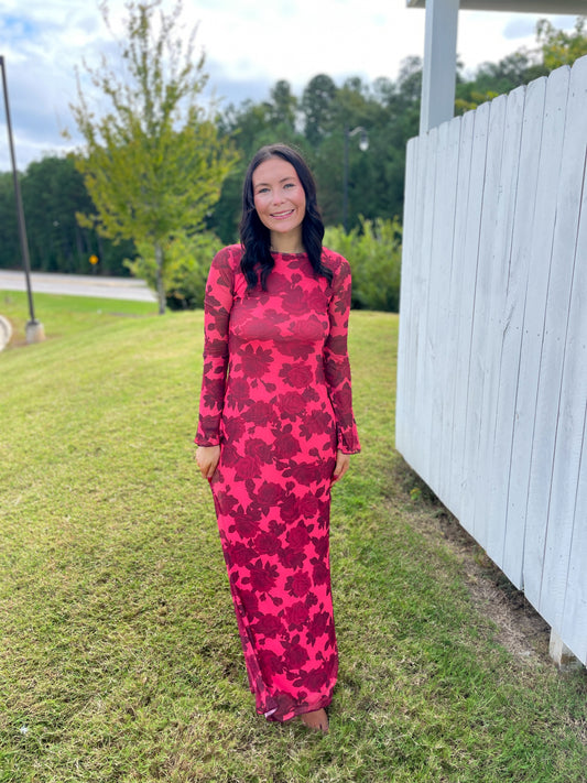 Mesh Tight Fit Maxi Dress