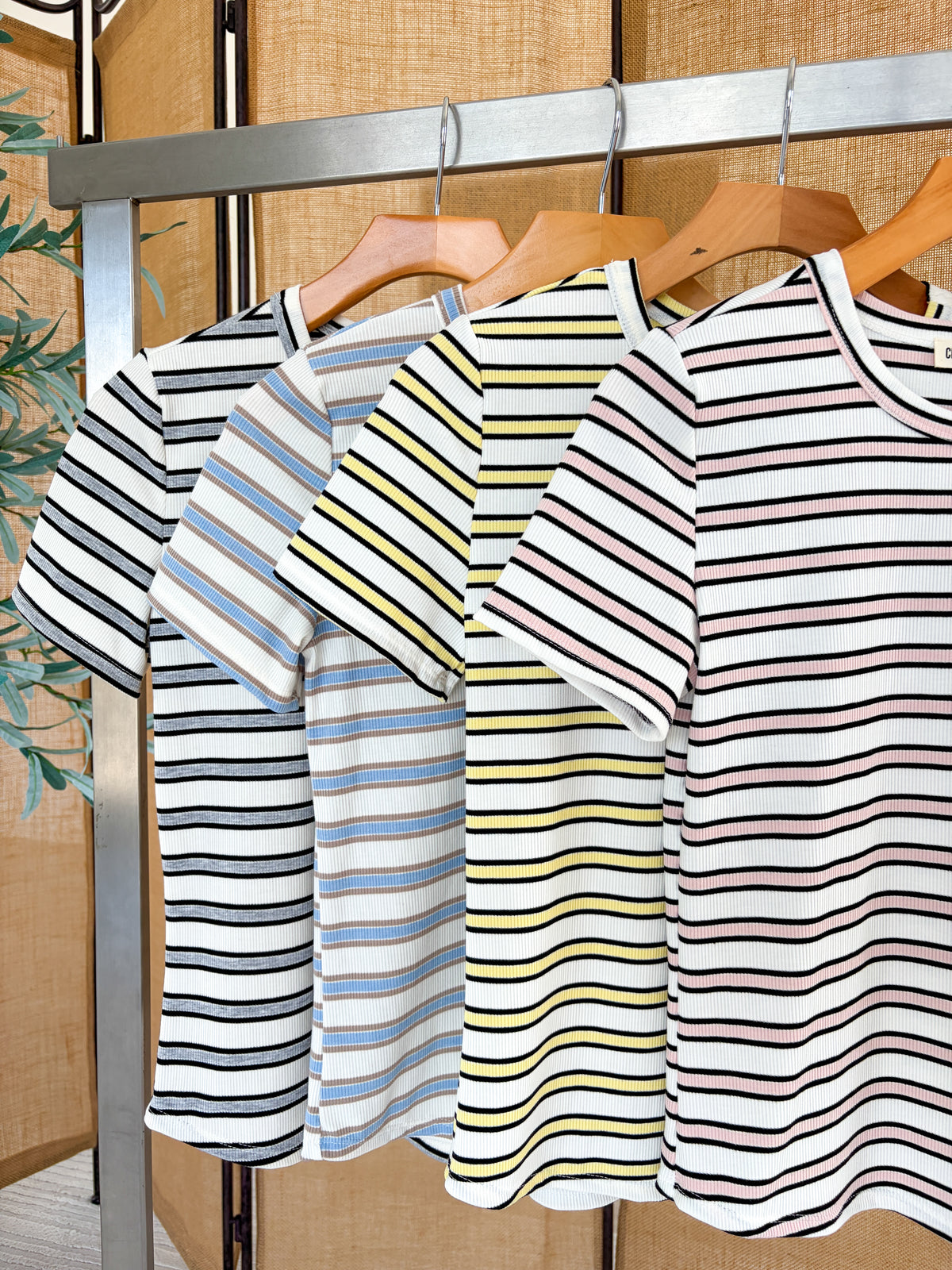 Ashton Striped Top