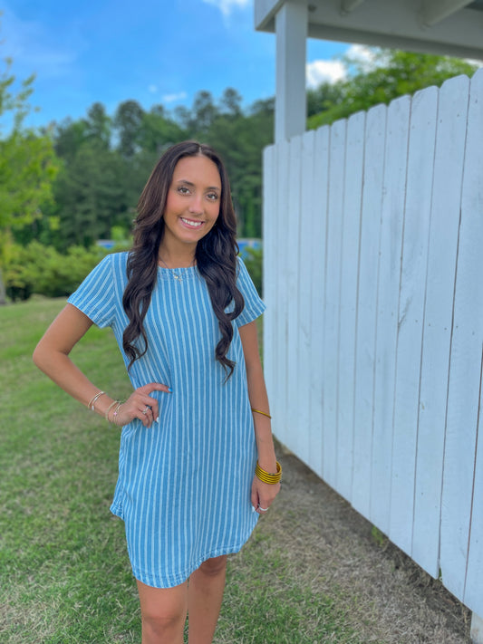 Brewer Stripped Denim Dress