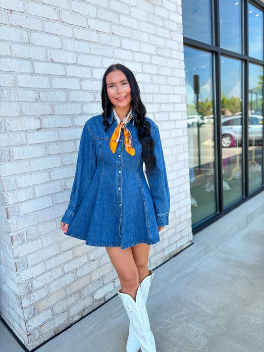 Brewer Mini Denim Dress