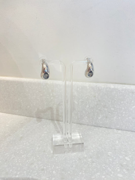 Silver Jewel Earrings