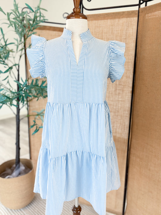 Shannon Striped Mini Dress