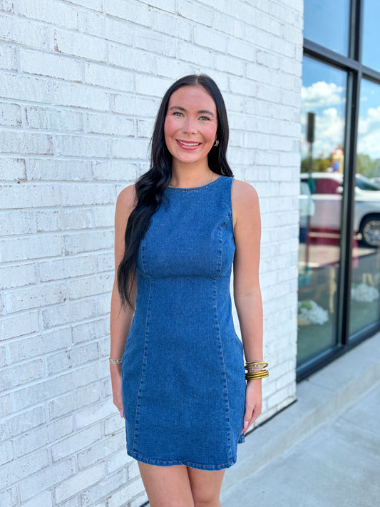 Stratton Denim Mini Dress