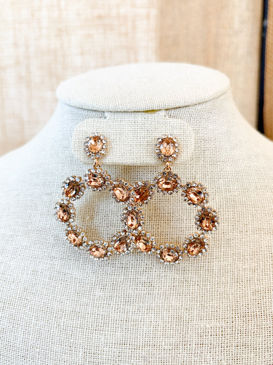 Brown Circle Chunky Earrings