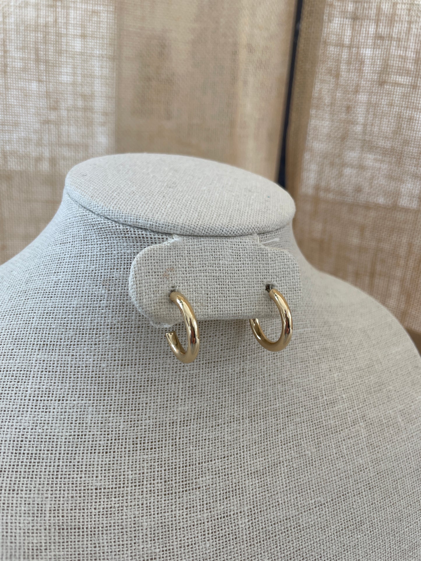 Small Gold Hoop Earrings