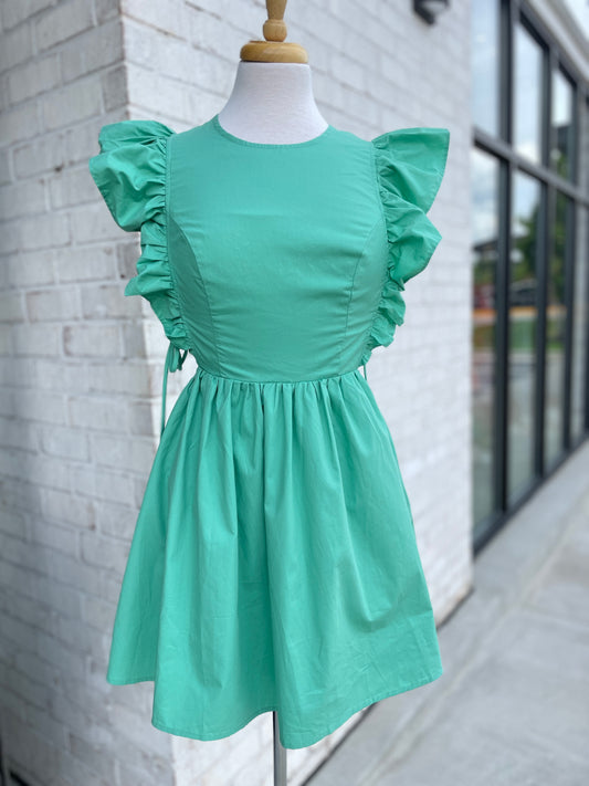 Ruffle Sleeve Dress