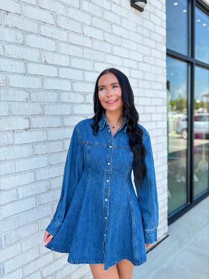 Brewer Mini Denim Dress