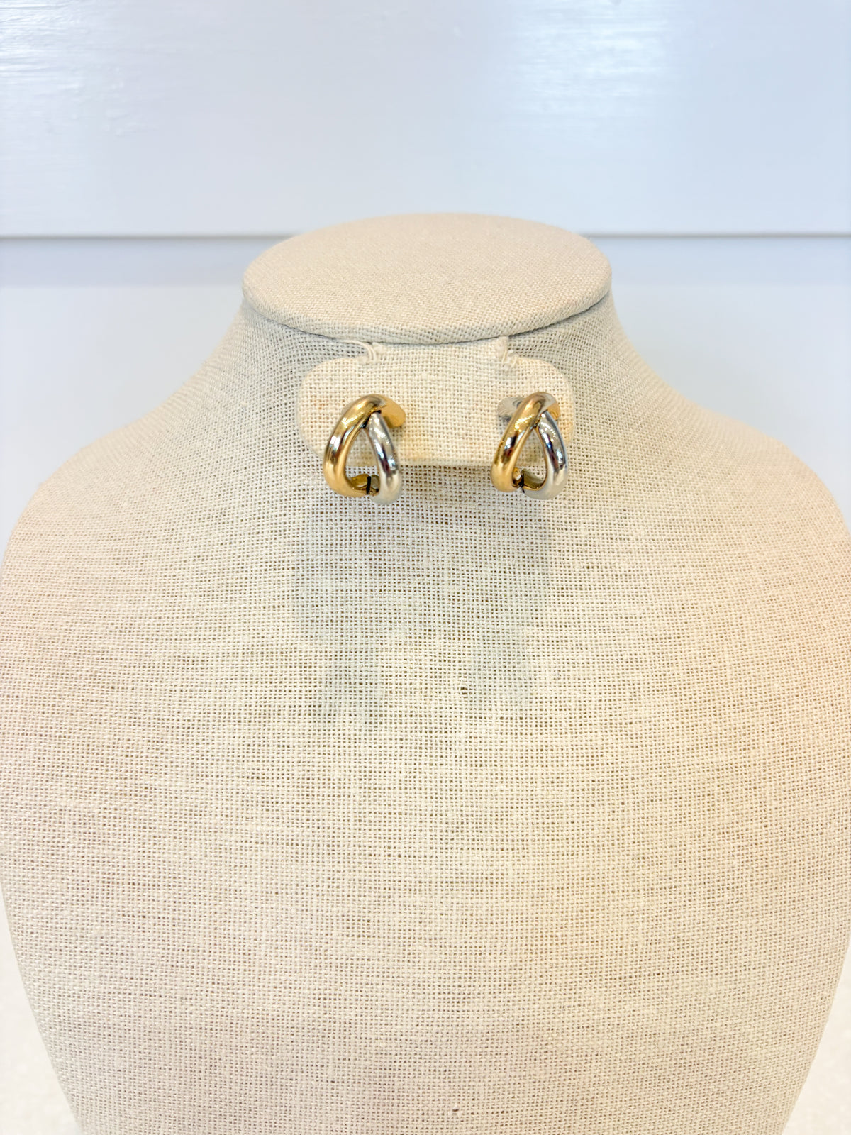 Double Hoop Mixed Metal Earring