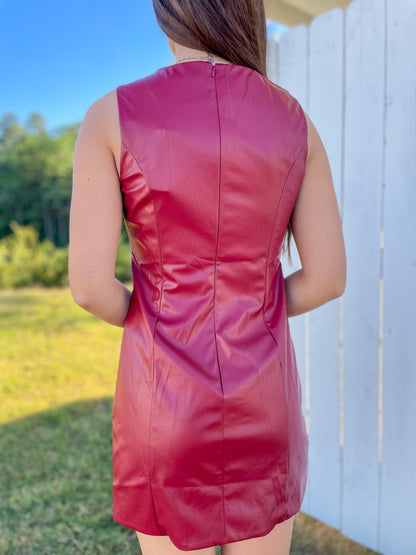 Sherry Faux Leather Dress