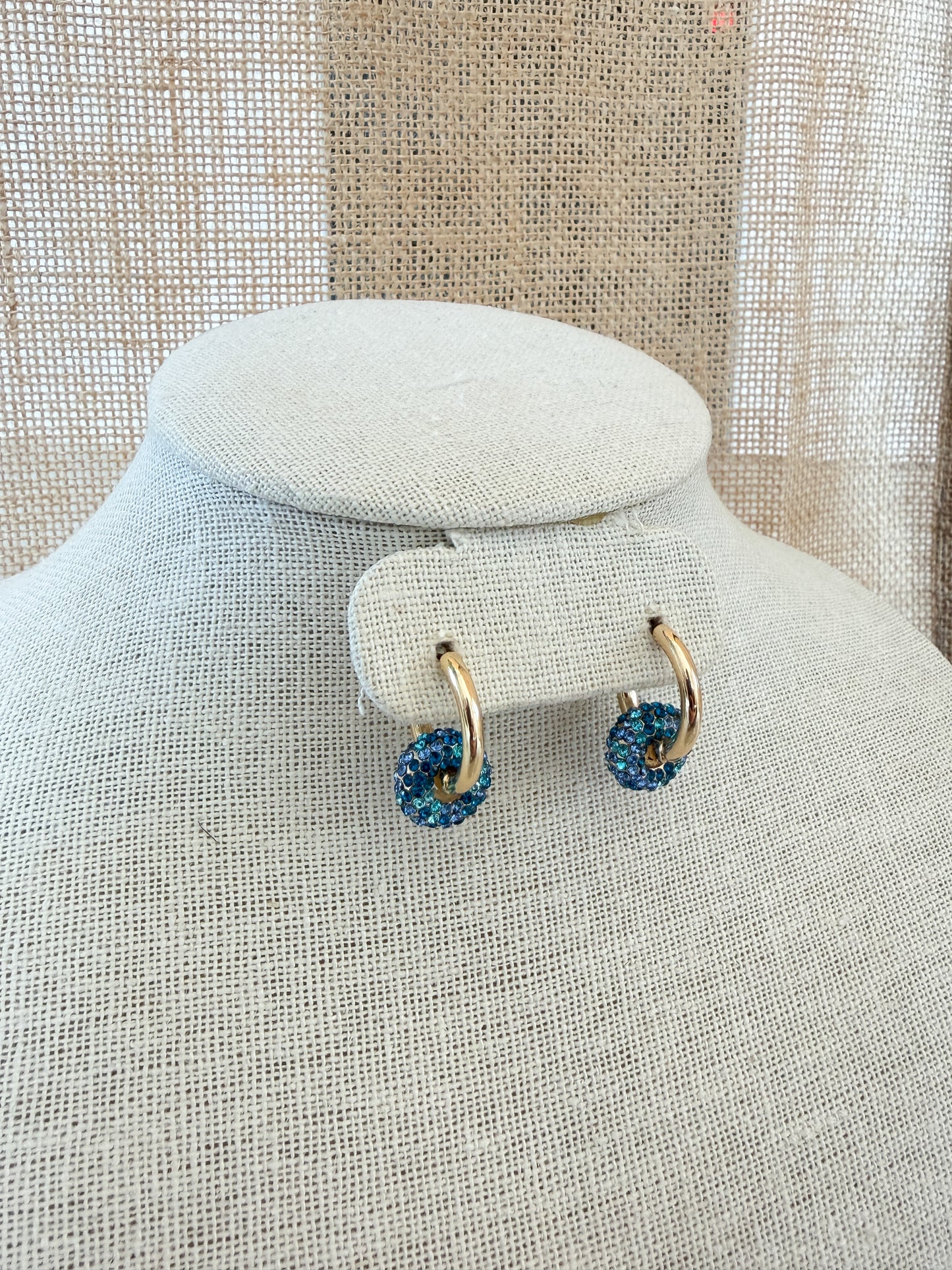 Blue Double Hoop Earrings