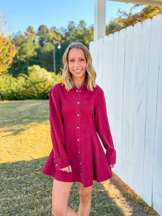Button Up Jean Mini Dress