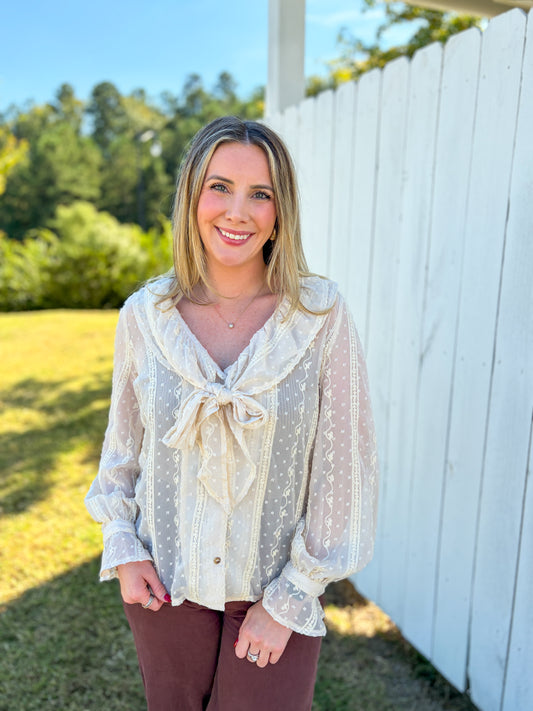 Sheer Peter Pan Collar Top