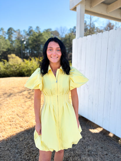 Blaise Mini Dress