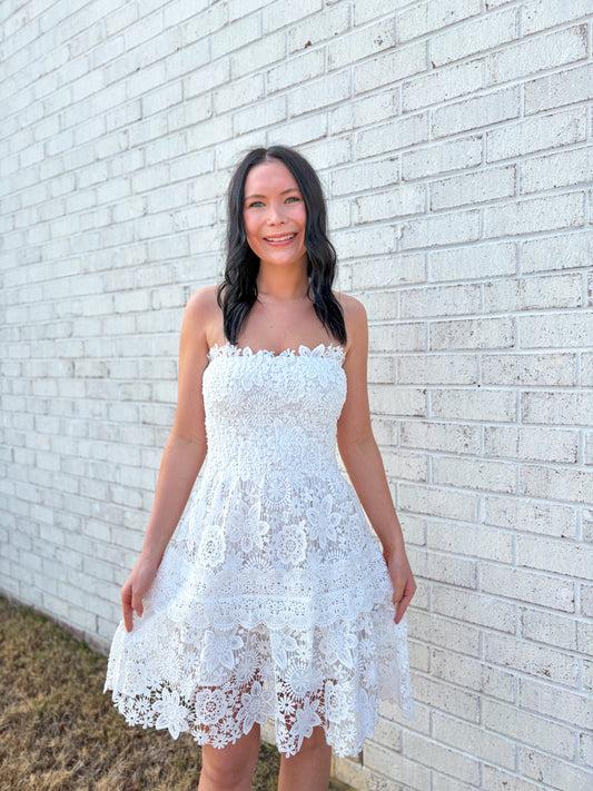 Eyelet Strapless Mini Dress