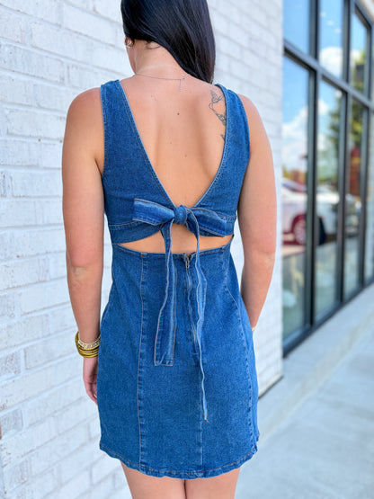 Stratton Denim Mini Dress